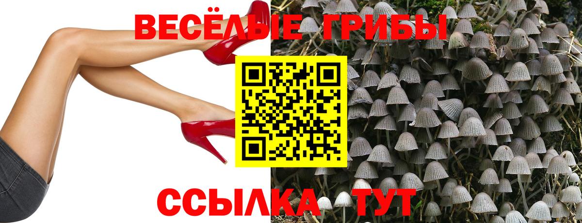 Галлюциногенные грибы Psilocybe  Вход с VPN  Саяногорск  Псилоцибиновые грибы Magic Shrooms 